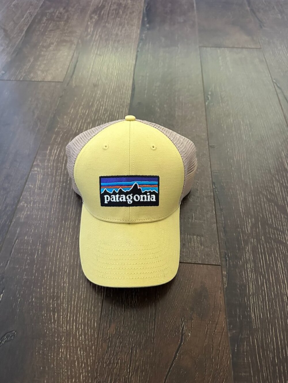 Patagonia Trucker Hat